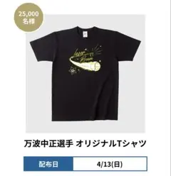 Item thumbnail for item ec054cc0-2da0-42a0-a2b8-029138387223