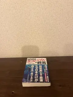 SDGsエコバブルの終焉