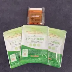 カテキン減脂粒 62粒入 3袋セット DMJえがお生活のサムネイル