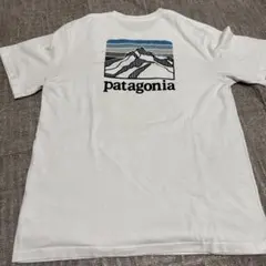 Patagonia Responsibili-tee Mサイズのサムネイル