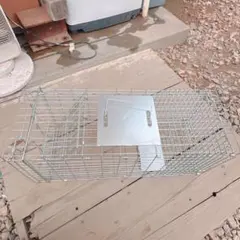 Item thumbnail for item d13c8c2c-538c-4e14-b28e-9b6ed63a5212