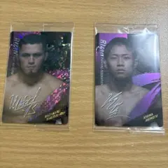 RIZINウエハース ラジャブアリシェイドゥラエフ 秋元強真