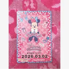 ディズニー　リゾラ　フリーきっぷ　ミニーの日　パルパルーザ