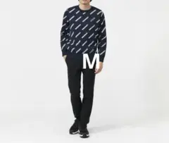 Item thumbnail for item c912571c-3509-4418-8579-48b2edbfcd13