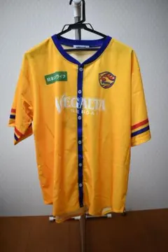 Item thumbnail for item 41998ae4-61db-4cc4-9424-028617e0e0ab