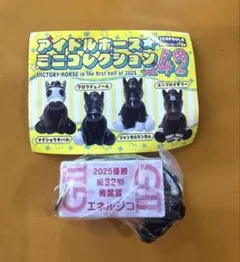 エネルジコ　アイドルホースミニコレクション vol42 青葉賞 ガチャ アイドル