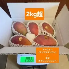 沖縄産おすすめ玉文マンゴー(大玉4個)約2.2kg - メルカリ