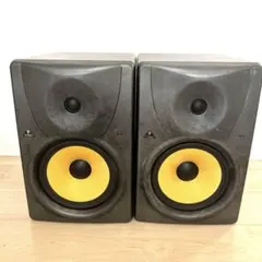 베링거 5" 투웨이 트루스 B1030A 2개 세트