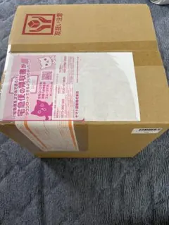 シャイニートレジャーBox 未開封 シュリンク付き ポケモンセンター