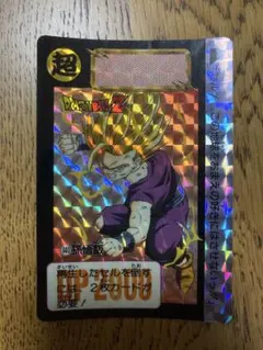 ドラゴンボールZ カードダス 孫悟飯603