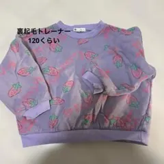 韓国 裏起毛トレーナー いちご柄 紫