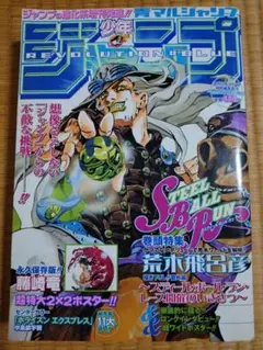 青マルジャンプ 2004年4月1日増刊号 青マルジャンプ 週刊少年ジャンプ特別編集増刊 2004年 4月1日増刊 希少