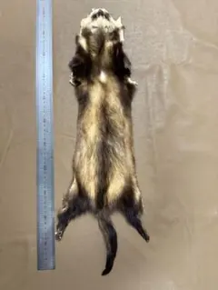 【お盆休み大特価】フィッチ毛皮　リアルファー　登山敷物　 キャンプマット　ラグ