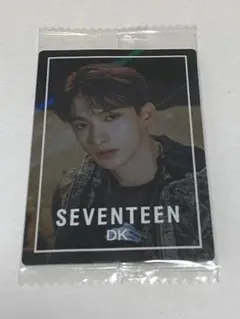 SEVENTEENウエハース　ドギョム