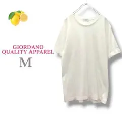 Item thumbnail for item 0e11d643-b54d-43ee-9c82-75491cdd6f90