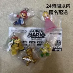匿名配送　スーパーマリオ　めじるしアクセサリー2 　　　5個セット