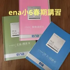 2026年最新】ena パースペクティブの人気アイテム - メルカリ