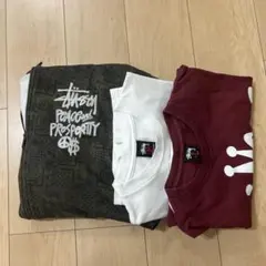 STÜSSY バンダナ柄パーカー 、tシャツ2枚
