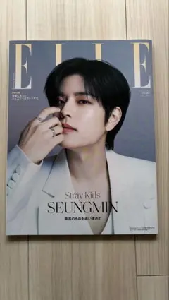 ELLE JAPON 7月号増刊 Stray Kids スンミン