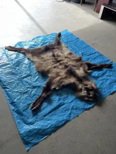 2026年最新】毛皮 カモシカの人気アイテム - メルカリ