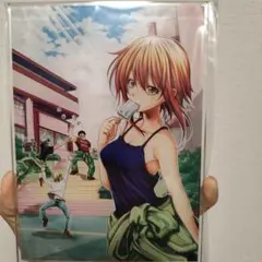 FGO FGO展 最終再臨展 B2 ポスター 水着 夏 ロビンフッド ロビン FGO FGO展 最終再臨展 B2 ポスター 水着 夏 ロビンフッド ロビン