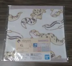 一番くじ 爬虫類・両生類 vol.3 G賞 タオルコレクション