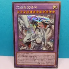 2025年最新】究極竜魔導師の人気アイテム - メルカリ