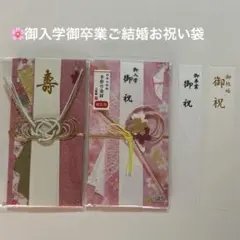 Item thumbnail for item 82e6577c-c1c8-4feb-aaff-c89f71cedcc5