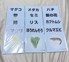 Item thumbnail for item 6857ab9e-c468-4c4b-a9c8-dde4819ab5c6