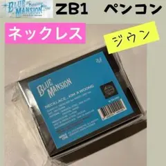zb1ネックレス ペンコン