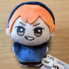 ハイキュー!! ちびぐるみ アニマルポンチョ vol.1 日向翔陽②