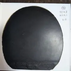 (46)XIOM 卓球 ラバー VEGA PRO 黒