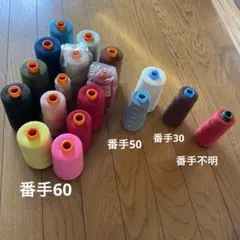 Item thumbnail for item 1939f97e-a6a6-40e3-9387-be531558f0c0