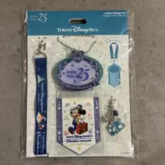 ディズニーシー 25周年 バケパ