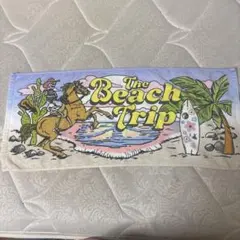 平井大The Beach Trip タオル