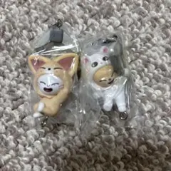 SKZOOつまんでつなげてますこっと　ジニレット　フォクシニー