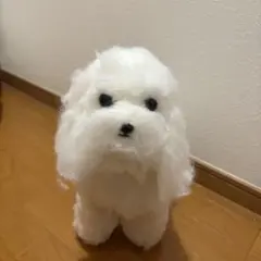 Item thumbnail for item 88b9876b-ac6e-4d77-9a1e-d2c96b30310b