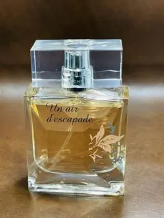☆希少・ほぼ未使用 廃盤 ジバンシィ エールエスカパード EDT50ml
