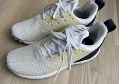 【新品未使用】ecco BIOM HYBRID4 ゴルフシューズ 26.5cm 2026年最新】スパイクレスゴルフシューズの人気アイテム - メルカリ