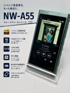 SONY WALKMAN NW-A45 ソニー ウォークマン ホライズングリーン - メルカリ