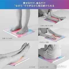 ルルド EMSシート アテックス ATEX 筋トレ 美脚 フットケア USBタイ