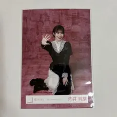 櫻坂46 向井純葉 生写真 5th Anniversary ドレス ヒキ - メルカリ