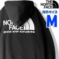 ノースフェイス パーカー メンズ バックプリント 黒 海外M 日本L相当 hd