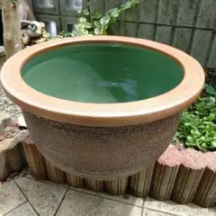 水漏れなし】大型 睡蓮鉢 めだか鉢 火鉢 陶器製 ビオトープ 直径44cm