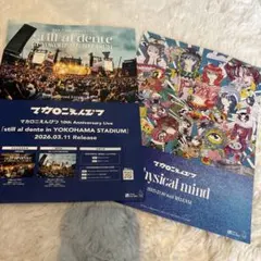 ☆マカロニえんぴつ　フライヤー☆