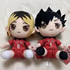 ハイキュー！！オリジナルぬいぐるみvol.3 孤爪研磨 黒尾鉄朗