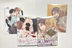 4点セット　王子様の伴侶はニセモノの恋人　おくびょうメタモルフォーゼ