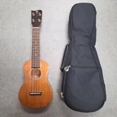 Item thumbnail for item 51f95558-3fa0-4b9b-9b5c-62027129be71