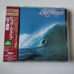山下達郎/ ビッグ・ウェイブ NEW REMASTER