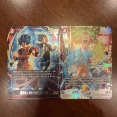 Dual Evolution　FB09-011 孫悟空:BR/ベジータ:BR